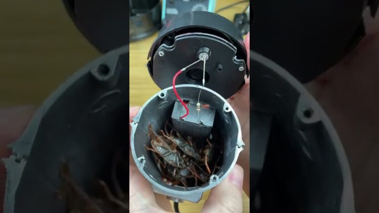 What’s Inside a Fake Security Camera?