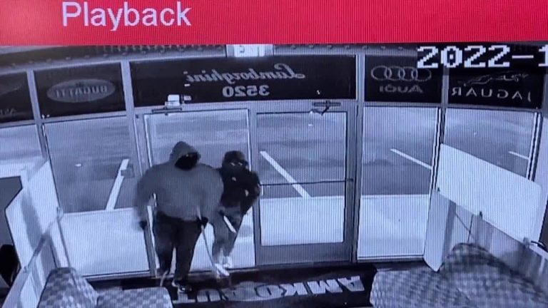 Surveillance camera stops would-be car thieves